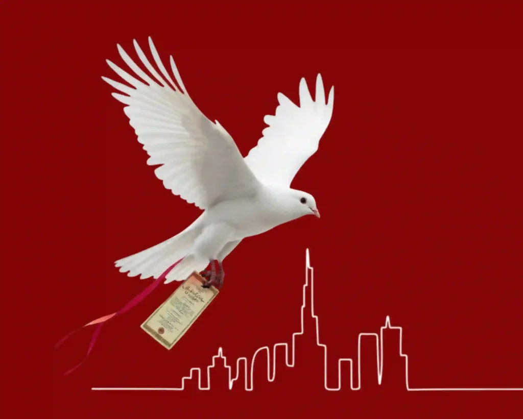 index-attestation-services-in-uae-dubai-abu-dhabi